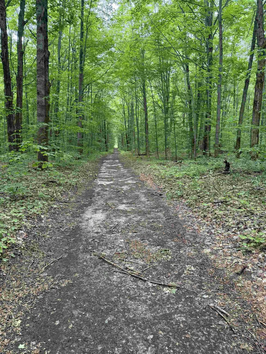 Parcel B Mancelona RD, Mancelona, MI 49659 - #3