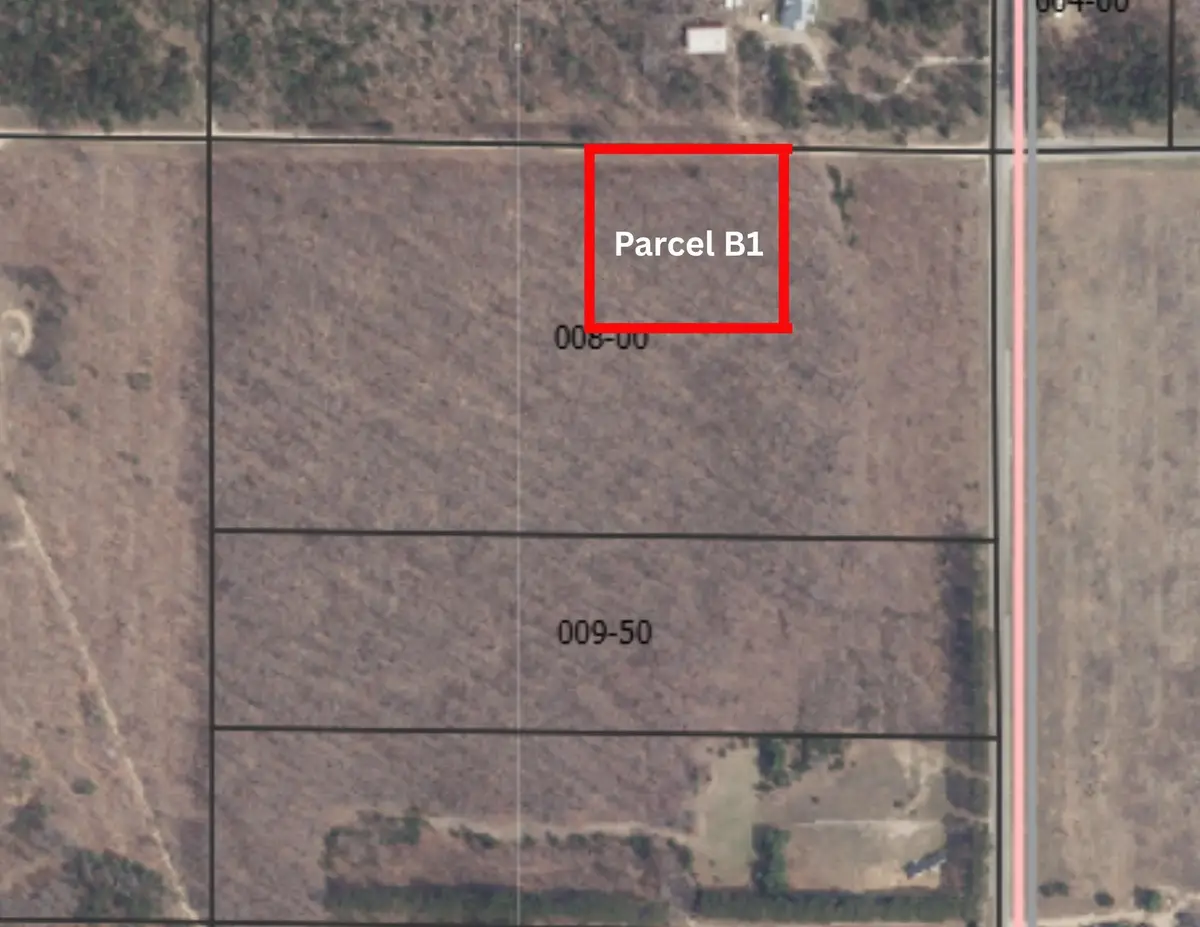 Parcel B1 Peterson RD, Mancelona, MI 49659 - #1