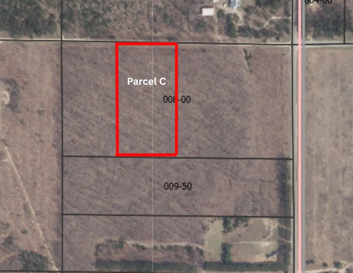 Parcel C Peterson RD, Mancelona, MI 49659 - #1