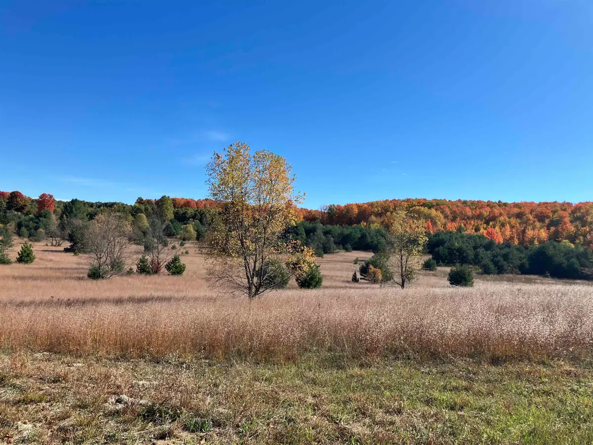 50 Acres SE Campbell RD, Fife Lake, MI 49633 - #1