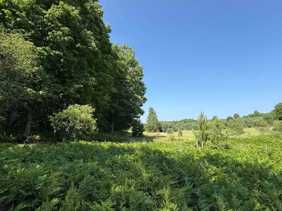 50 Acres SE Campbell RD, Fife Lake, MI 49633 - #2
