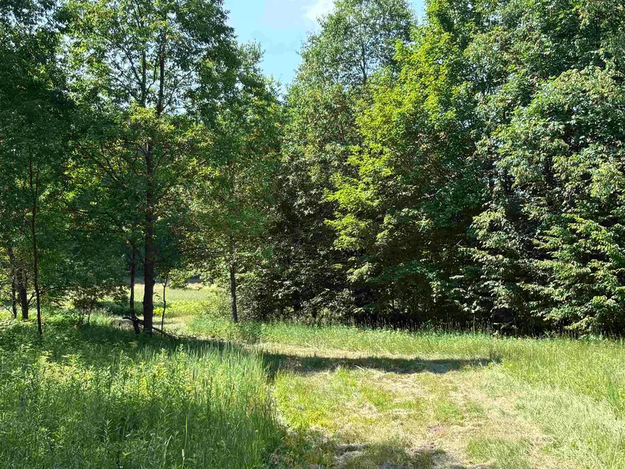 50 Acres SE Campbell RD, Fife Lake, MI 49633 - #3