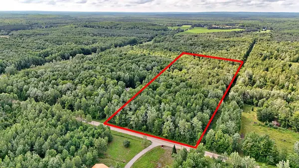V/L Phelps RD, LakeCity, MI 49651