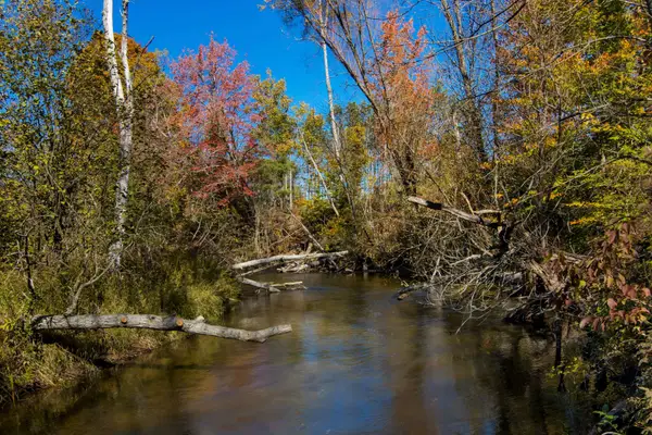 Parcels A Wild River, Thompsonville, MI 49683