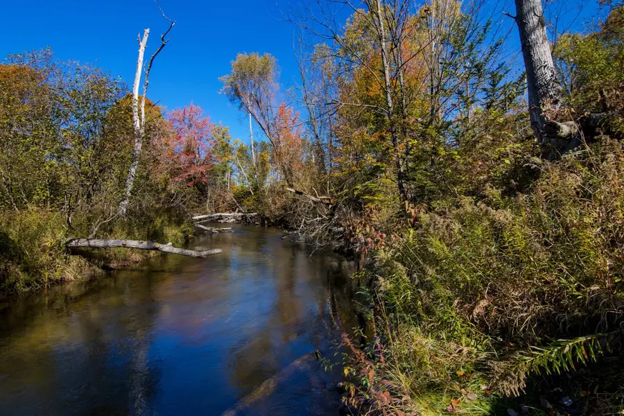 Parcels A Wild River, Thompsonville, MI 49683 - #2