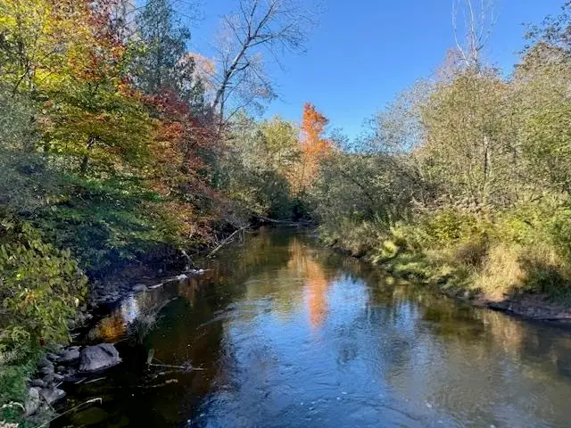 Parcels A Wild River, Thompsonville, MI 49683 - #3