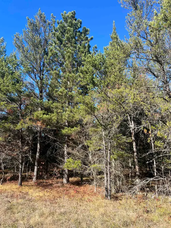 0000 E North Down River, Grayling, MI 49738