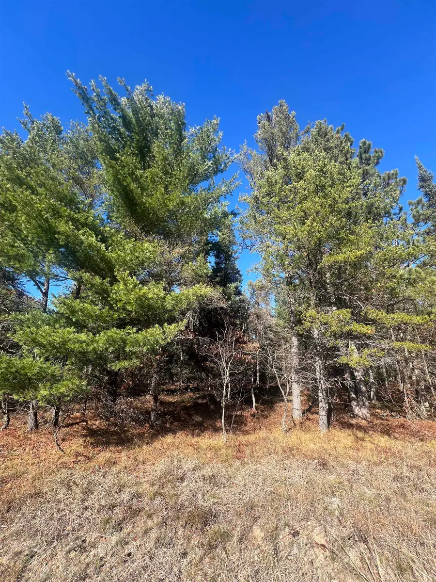 0000 E North Down River, Grayling, MI 49738 - #2