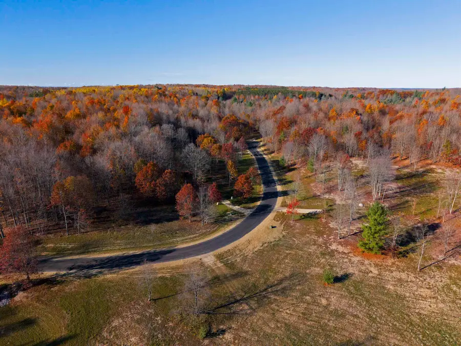 10677 SW Pine Ridge, Fife Lake, MI 49633 - #3