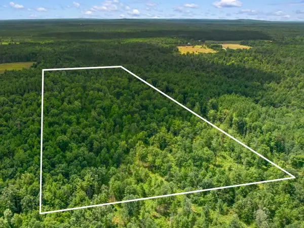 30 Acres W 48 1/2, Wellston, MI 49689