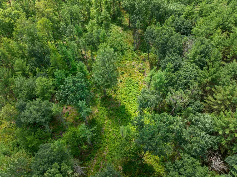30 Acres W 48 1/2, Wellston, MI 49689 - #3