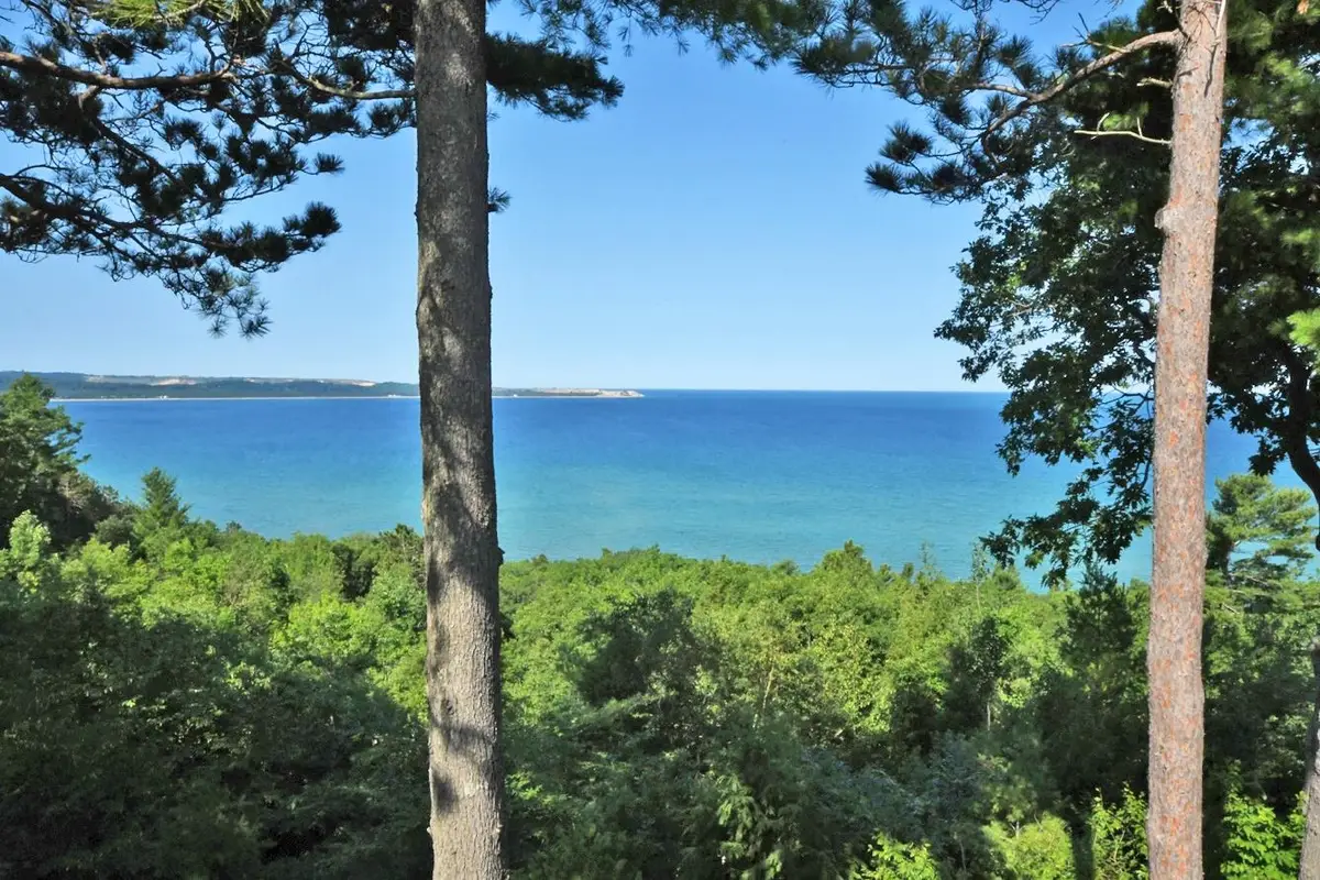 3 Vantage Pointe, Glenarbor, MI 49636 - #1
