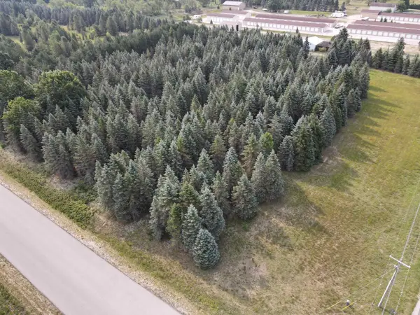 Parcel B Danbury, Kingsley, MI 49649