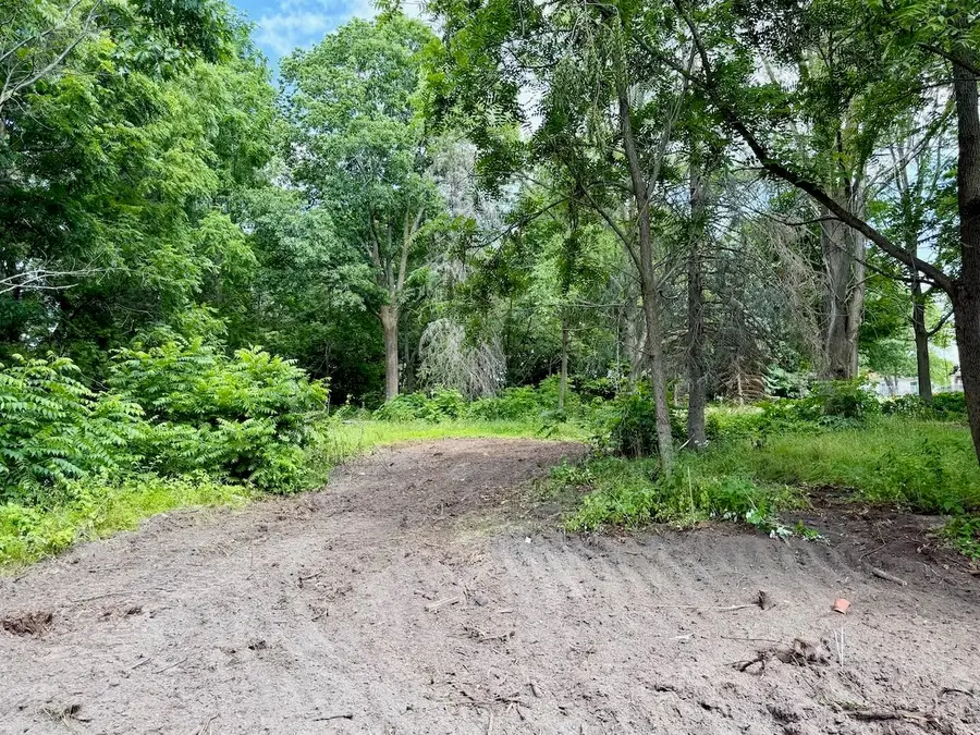 Lot 29 Buckley, Elk Rapids, MI 49629 - #3