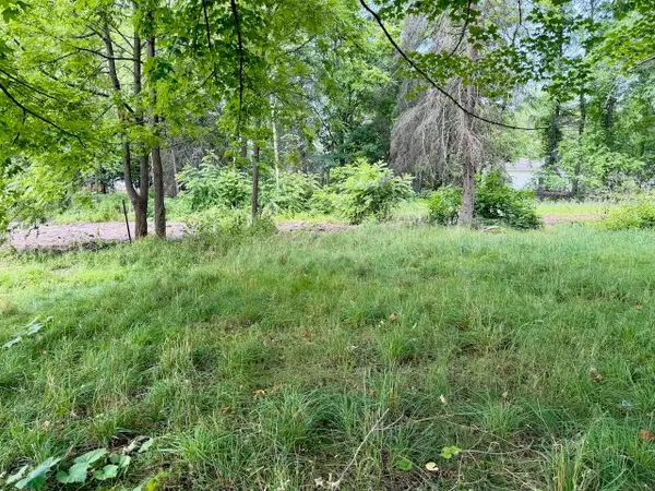 Lot 33 Buckley, ElkRapids, MI 49629