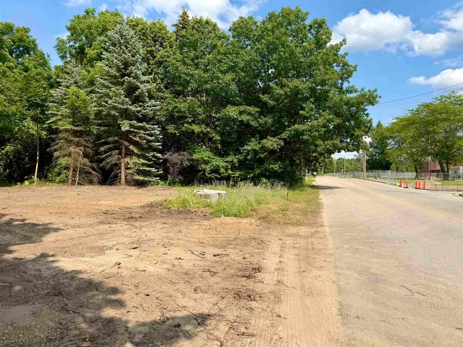 Lot 33 Buckley, Elk Rapids, MI 49629 - #2