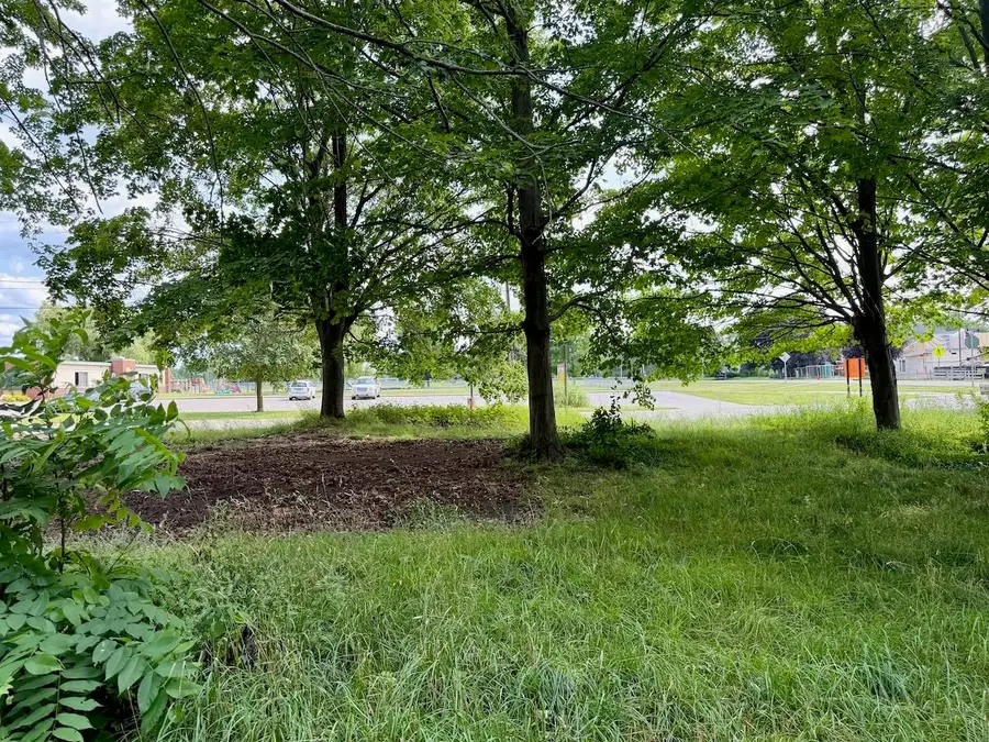 Lot 33 Buckley, Elk Rapids, MI 49629 - #3