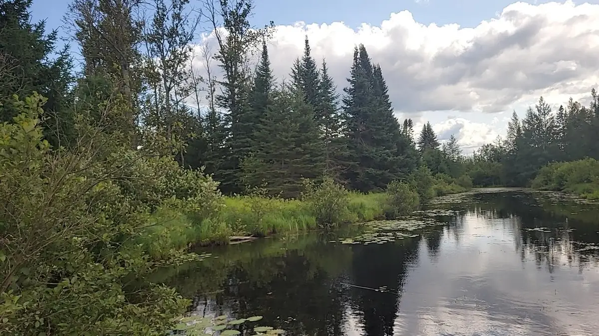 12.55 Acres Juniper, Grayling, MI 49738 - #1