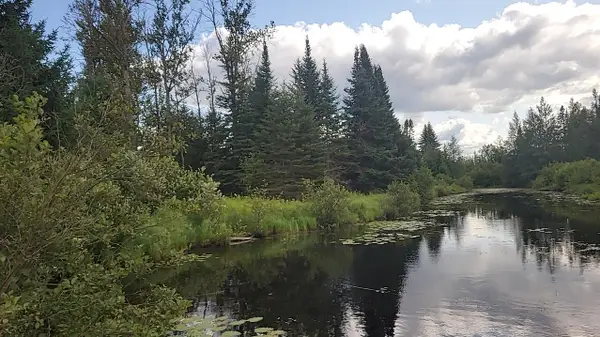 12.55 Acres Juniper, Grayling, MI 49738