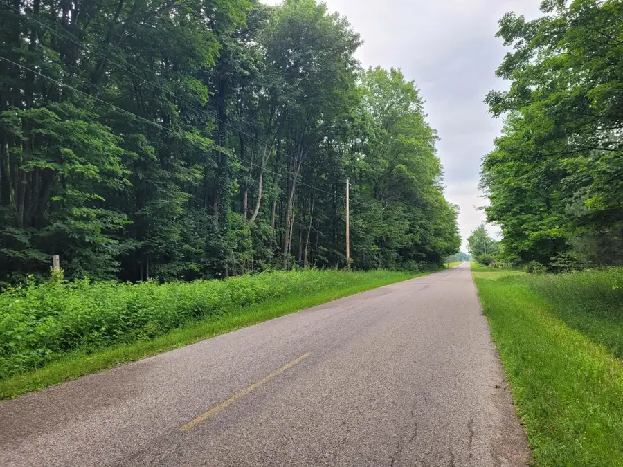 0 S 7 1/2 RD, Harrietta, MI 49638 - #2