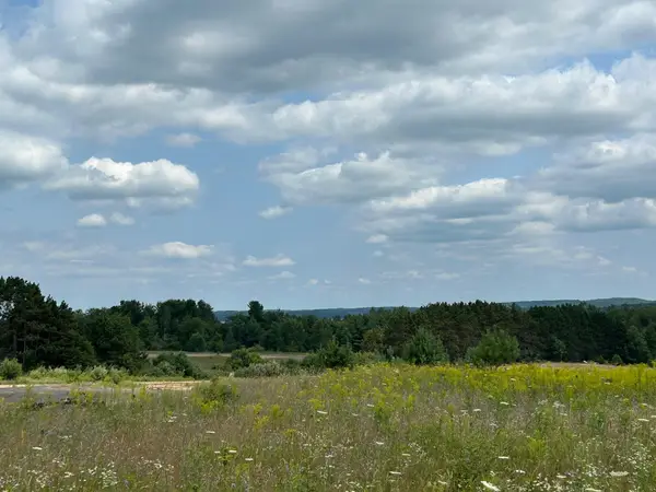 Markenwood LN, Williamsburg, MI 49690
