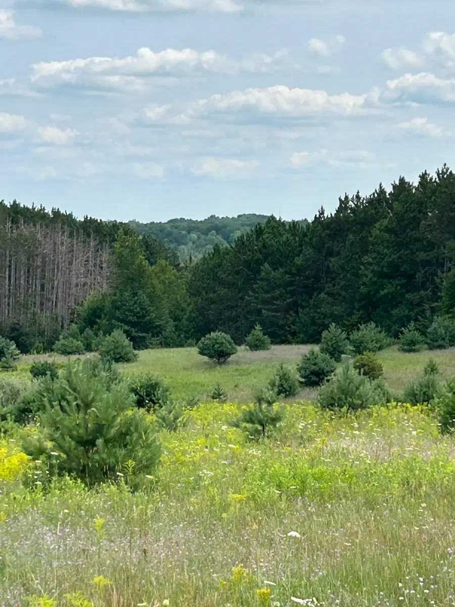 Markenwood LN, Williamsburg, MI 49690 - #2
