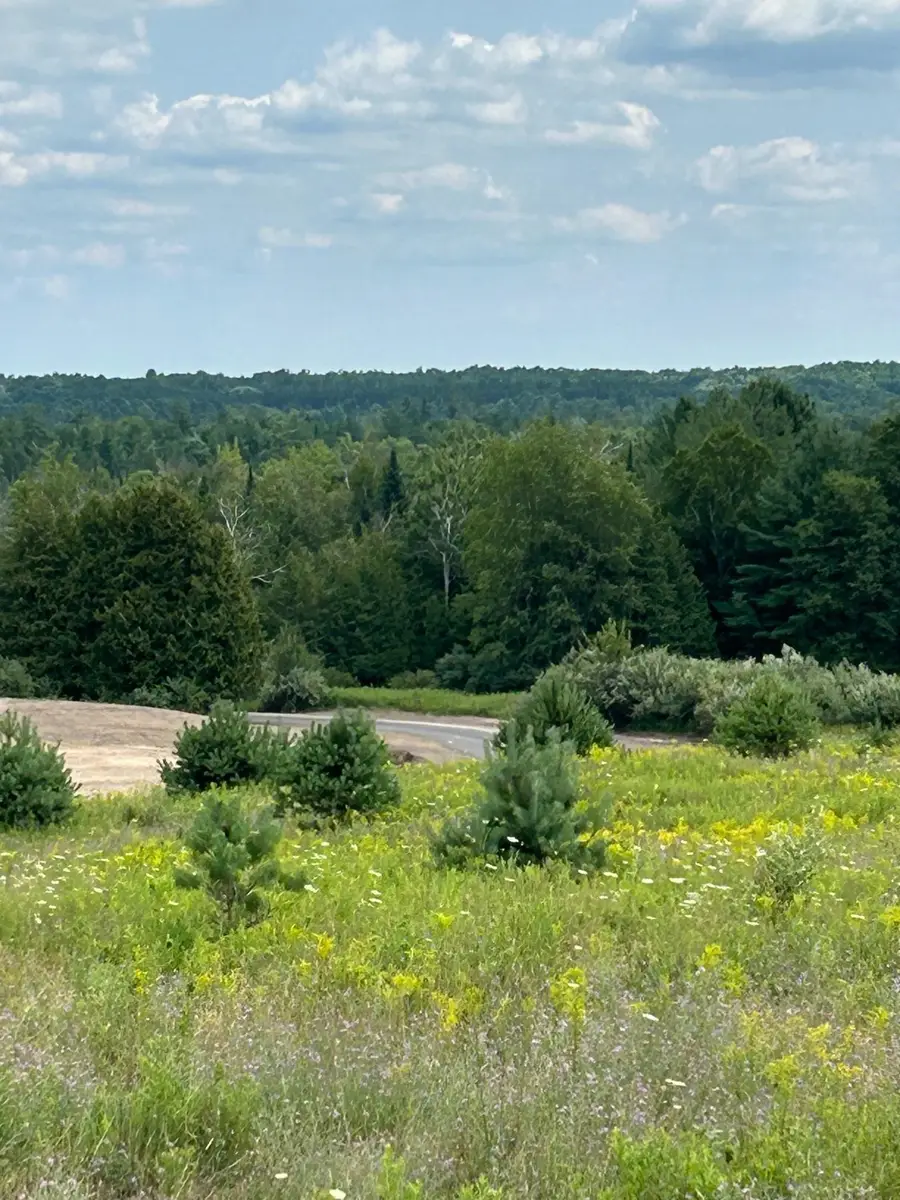 Markenwood, Williamsburg, MI 49690 - #3