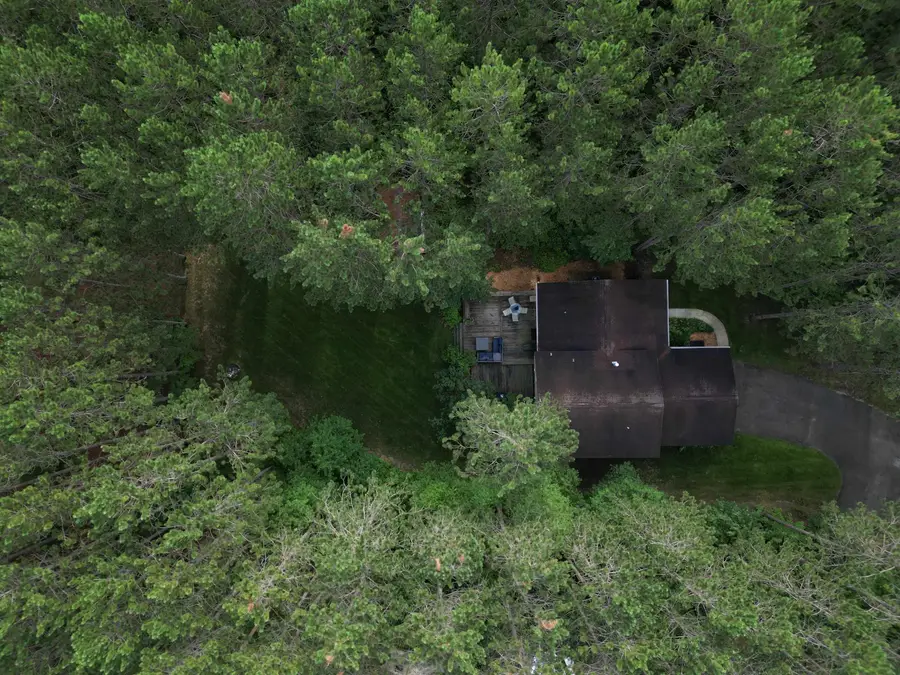 19980 Pine Woods, Almira, MI 49650 - #3
