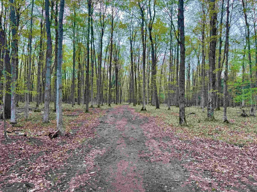 6639 Fall, Grawn, MI 49637 - #2