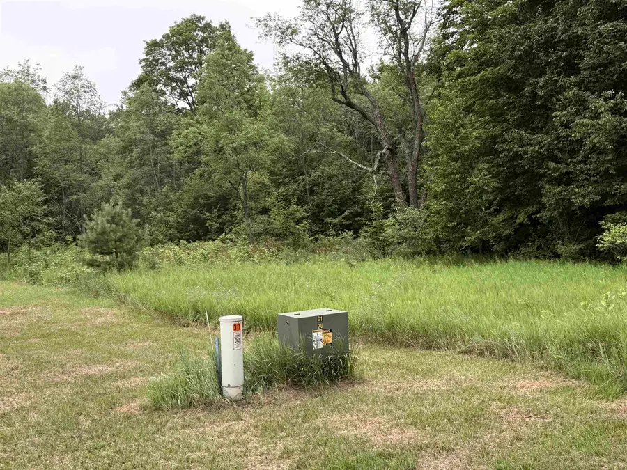 549 Kleehammer Club, Kalkaska, MI 49646 - #2