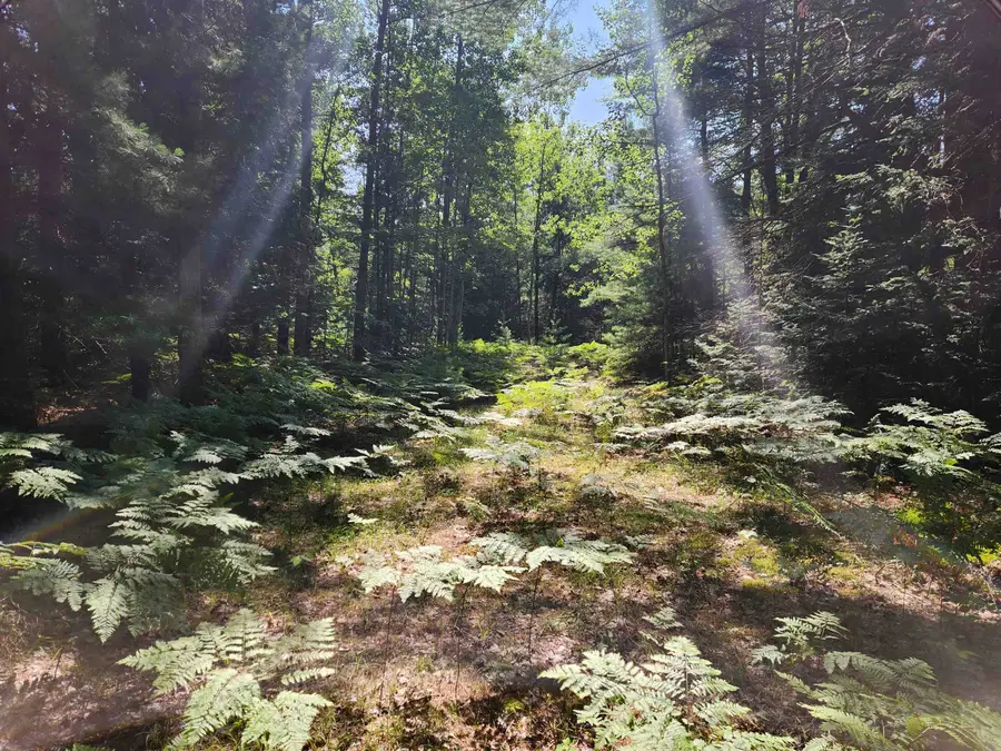 10 Acres Christie, Kalkaska, MI 49646 - #2