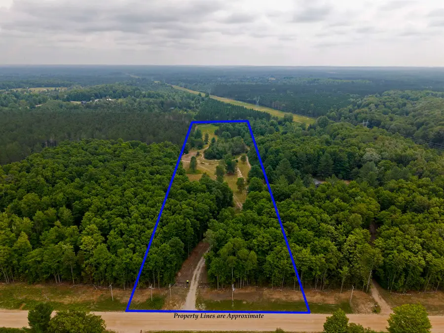 0000 Beebe Road, Kalkaska, MI 49646 - #3