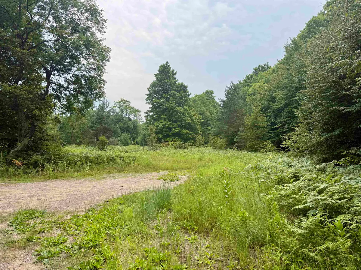 4989 State RD, Almira, MI 49650 - #1