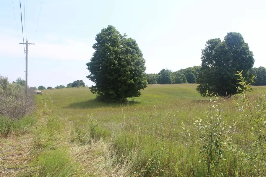 0 Barnes RD, Kewadin, MI 49648 - #3