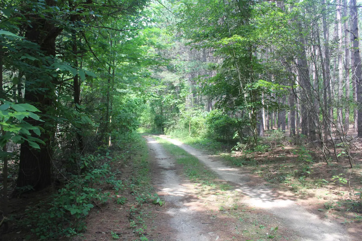 0 Whitefish TRL, Kewadin, MI 49648 - #1
