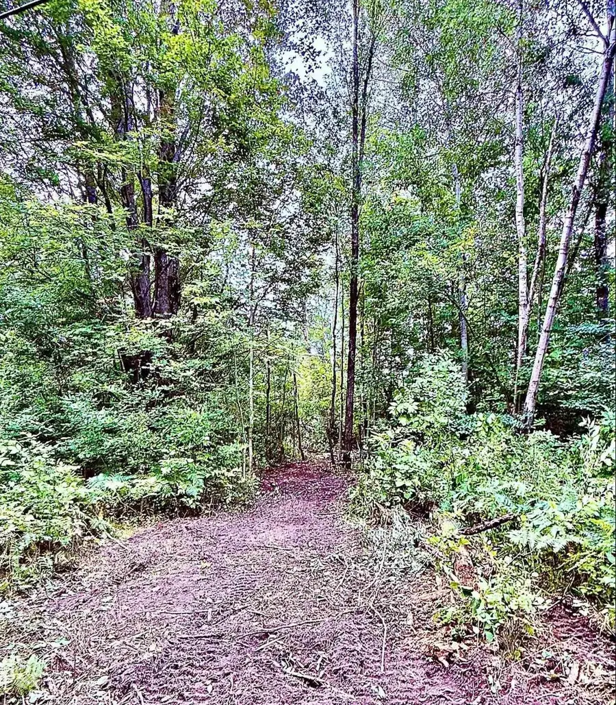 6888 Bancroft RD, Kingsley, MI 49649 - #2