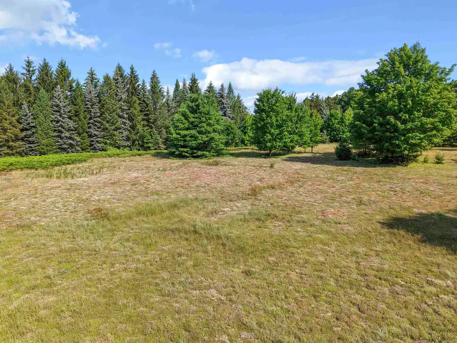 00 N Lake Leelanau DR, Leland, MI 49653 - #3