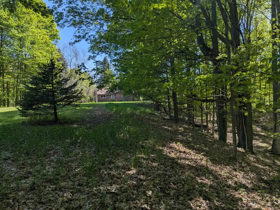 8828 Roberts, Central Lake, MI 49622 - #2