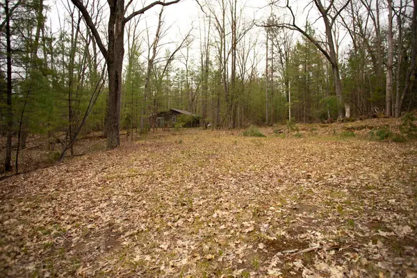 00 NE Bailey ST, Kalkaska, MI 49646