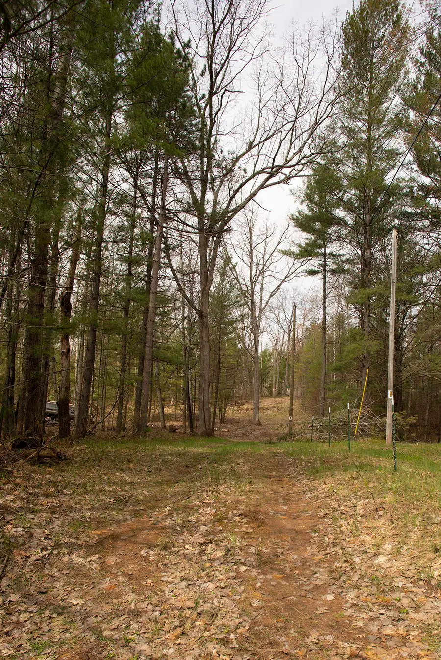 00 NE Bailey ST, Kalkaska, MI 49646 - #3