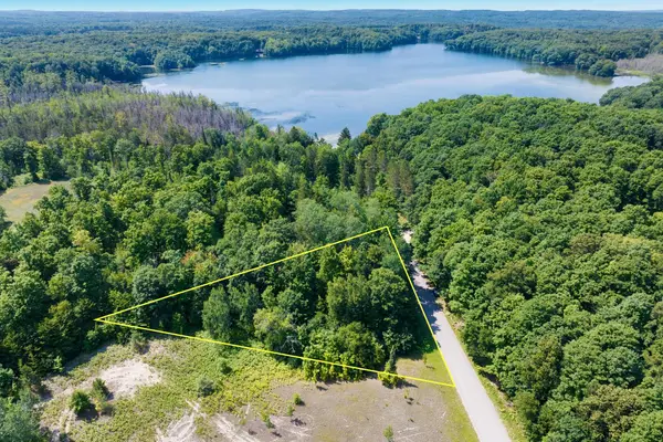 V/L Lake Of The Woods RD, Bellaire, MI 49615