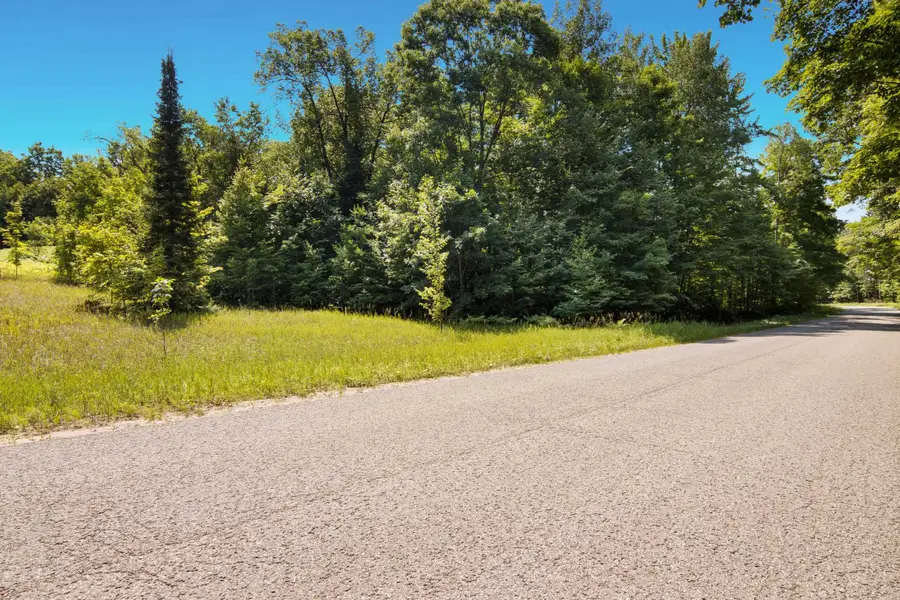 V/L Lake Of The Woods RD, Bellaire, MI 49615 - #3