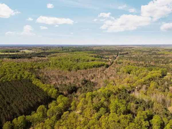 11886 Cedar Creek RD, FifeLake, MI 49633