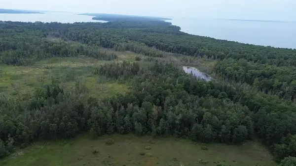 0 Lore, CentralLake, MI 49622