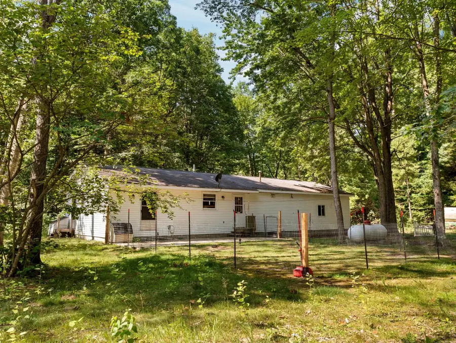 18150 Stronach Dam, Wellston, MI 49689 - #3