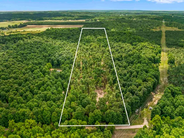 00 Valencourt, Copemish, MI 49625