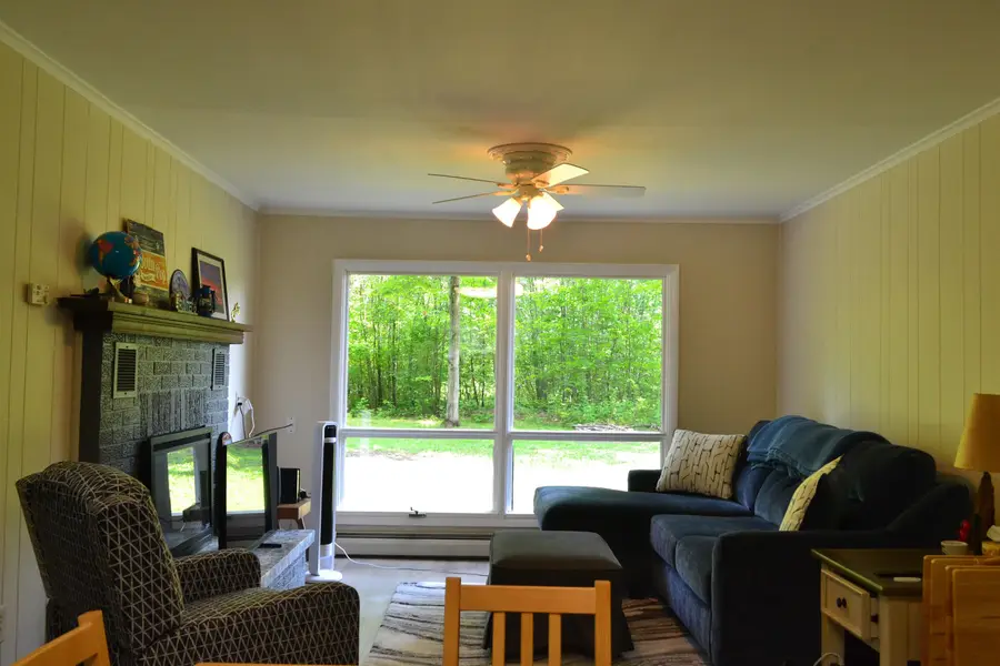 5216 E Shore Drive NE, Kalkaska, MI 49646 - #3