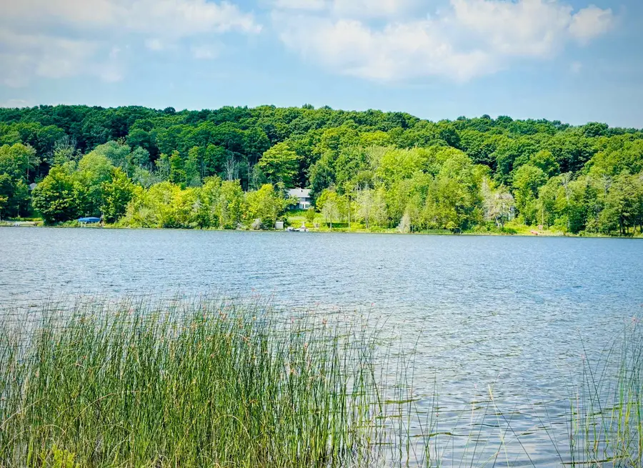 4859 Rushton, Central Lake, MI 49622 - #2