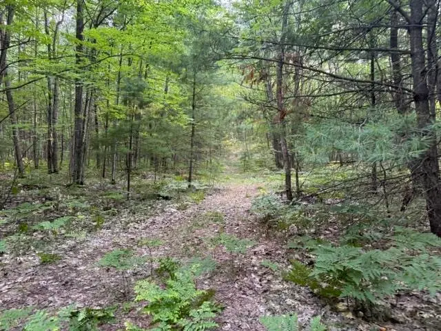 VL Gaukel RD, Forest, MI 49651 - #1