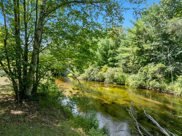 15049 Healy Lake, BearLake, MI 49614